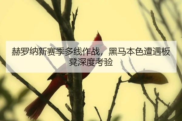 赫罗纳新赛季多线作战，黑马本色遭遇板凳深度考验