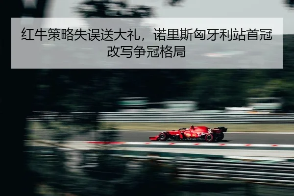 hong-niu-ce-lve-shi-wu-song-da-li-nuo-li-si-xiong-ya-li-zhan-shou-guan-gai-xie-zheng-guan-ge-ju-2-267.jpg