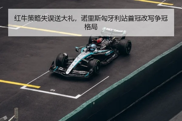hong-niu-ce-lve-shi-wu-song-da-li-nuo-li-si-xiong-ya-li-zhan-shou-guan-gai-xie-zheng-guan-ge-ju-3-851.jpg