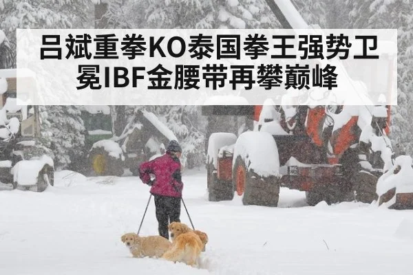 吕斌重拳KO泰国拳王强势卫冕IBF金腰带再攀巅峰