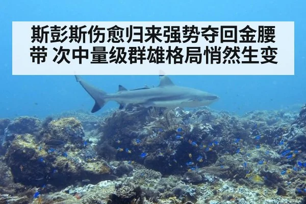 斯彭斯伤愈归来强势夺回金腰带 次中量级群雄格局悄然生变